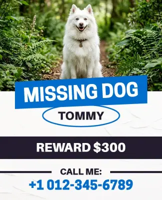 Missing Dog Reward Notice Poster Template
