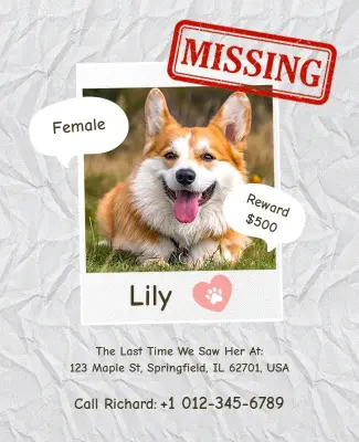 Missing Pet Alert Reward Poster Template