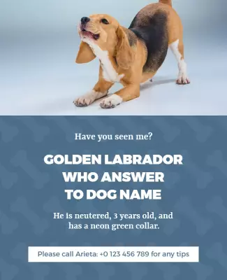 Missing Pet Labrador Alert Flyer Template