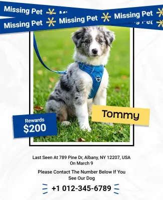 Missing Pet Reward Notice Poster Template