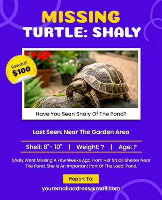 Missing Turtle Poster Template