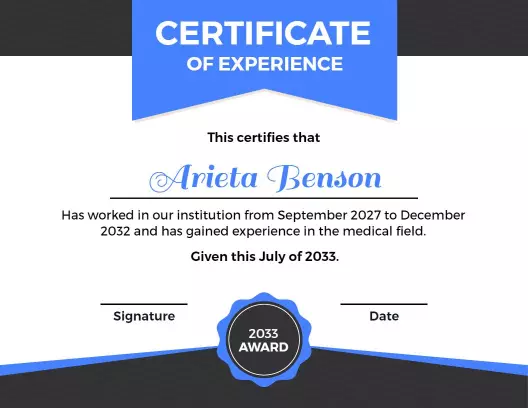 Modern Blue Professional Experience Certificate Template