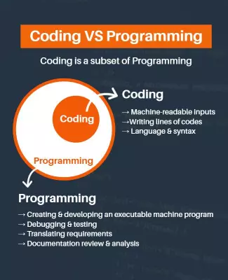Modern Educational Comparison of Coding vs Programming Poster Template
