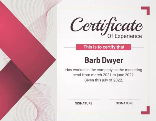 Modern Elegant Pink Experience Certificate Template