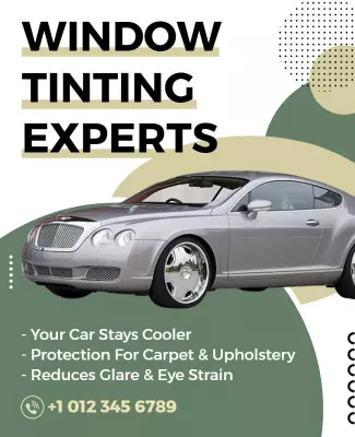 Modern Graphic Auto Window Tinting Services Poster Template