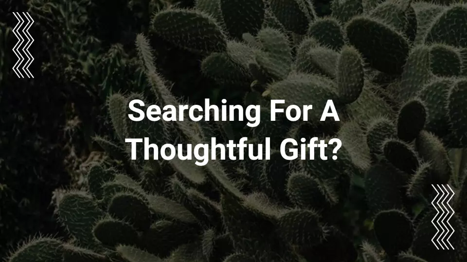 Modern Green Cactus Gift Ideas Home Decoration Product Presentation Template