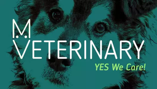 Modern Green Veterinary Care Business Card Template
