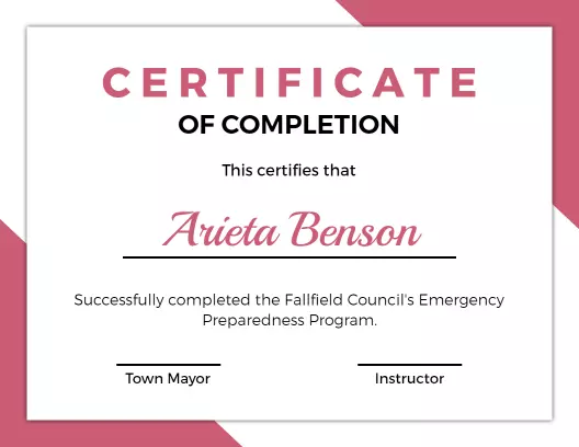 Modern Pink Geometric Emergency Preparedness Certificate Template