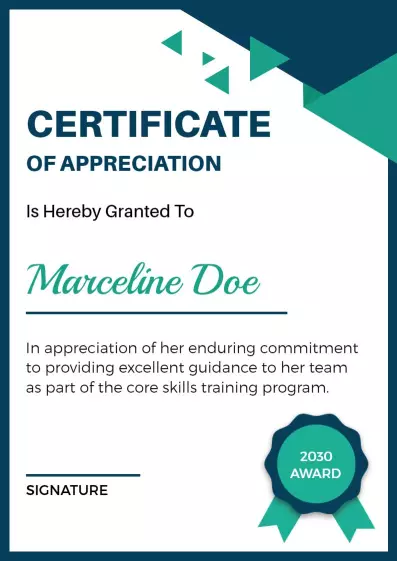 Modern Teal and Navy Team Guidance Appreciation Certificate Template