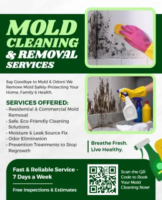 Mold Cleaning and Removal Services Flyer Template