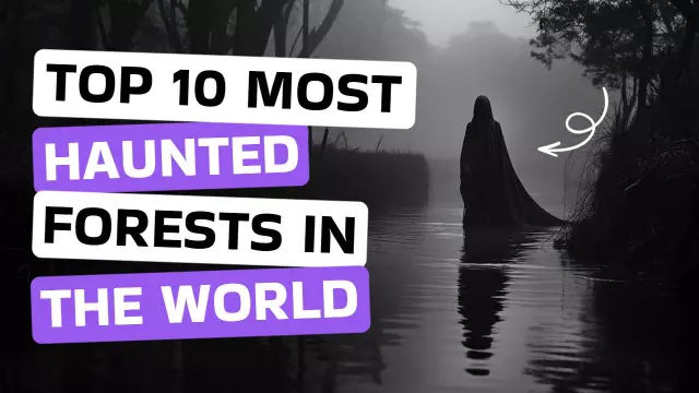 Mysterious Haunted Forests Top 10 Trending YouTube Thumbnail Template