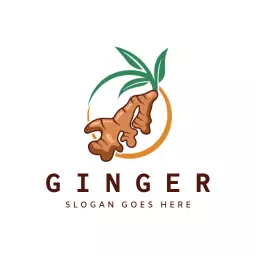Natural Ginger Root Illustration Highlighting Healthy Benefits Logo Template