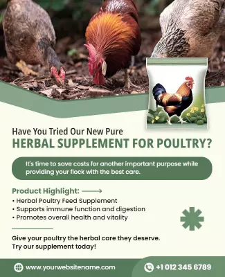 Natural Green Herbal Supplement for Poultry Health Poster Template
