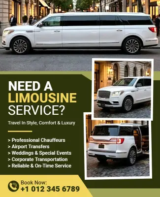 Need a Limousine Service Promotional Flyer Template
