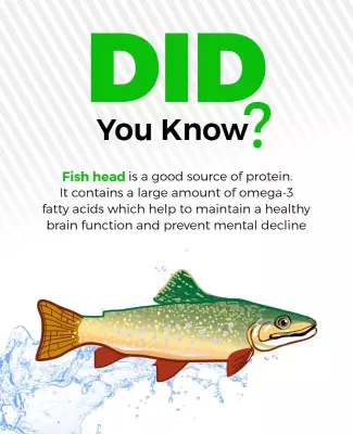 Nutritional Benefits Of Fish Head Flyer Template