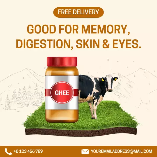 Nutritious Ghee for Memory and Digestion with Free Delivery Ad Template