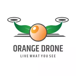 Orange Drone Design Showcasing Aerial Perspectives Logo Template
