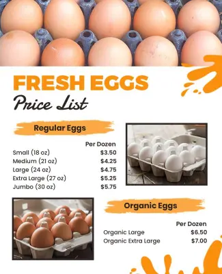 Organic and Regular Eggs Price List Flyer Template