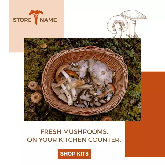Organic Fresh Mushrooms on Kitchen Counter Display Ad Template
