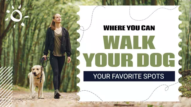 Outdoor Dog Walking Guide Trending YouTube Thumbnail Template