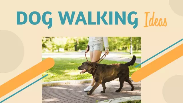 Outdoor Dog Walking Tips Fun Trending YouTube Thumbnail Template