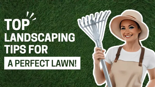 Perfect Lawn Landscaping Tips Trending YouTube Thumbnail Template