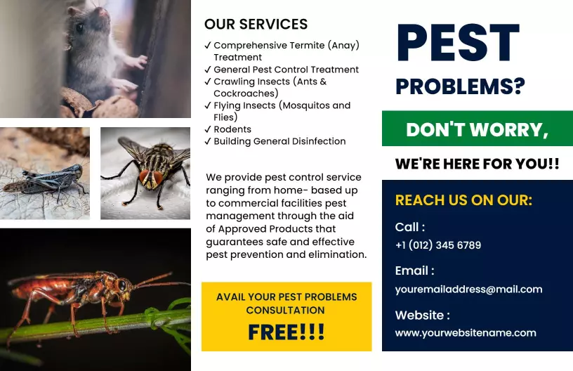 Pest Control Comprehensive Services and Solutions Brochure Template