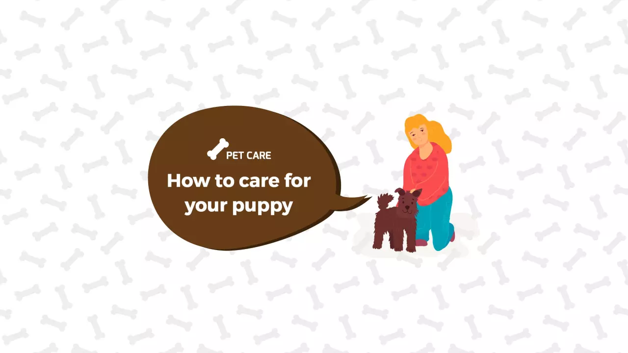 Pet Care Tips for New Puppy Owners on Playful YouTube Banner Template