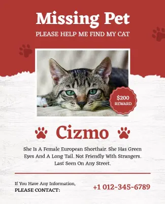 Pet Missing Contact Information Poster Template
