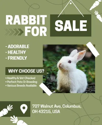 Pet Rabbit Sale Promotional Flyer Template