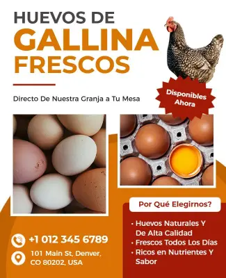 Plantilla De Folleto Promocional De Huevos De Gallina Frescos De Granja