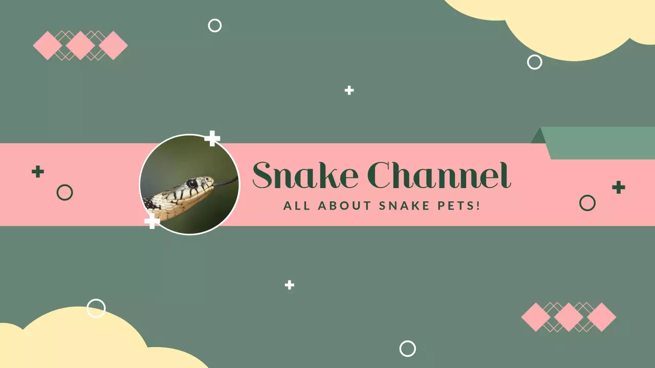 Playful Green and Pink Snake Pets YouTube Channel Banner Template