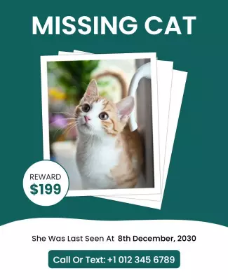 Playful Green Missing Cat Alert Poster Template