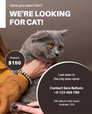 Playful Grey Cat Missing Pet Notice Poster Template