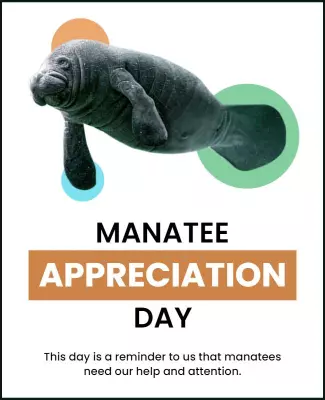 Playful Manatee Appreciation Day Awareness Poster Template