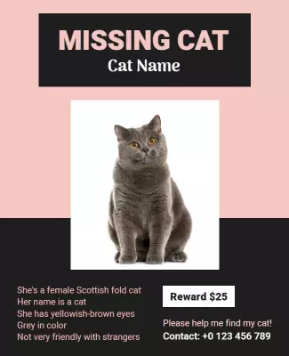 Playful Pink Missing Cat Announcement Poster Template