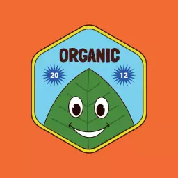Playful Retro Organic Leaf Design with Happy Character Logo Template