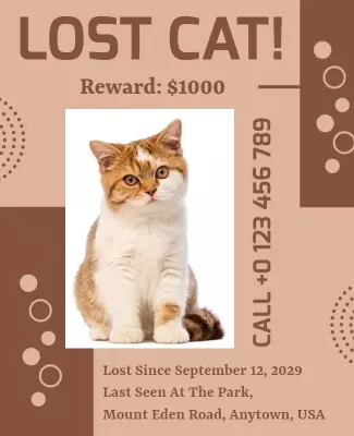 Practical Brown Lost Cat Poster with Reward Offer Template