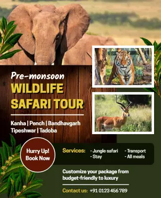 Pre Monsoon Wildlife Safari Tour Flyer Template