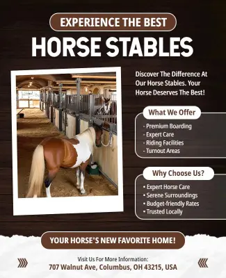 Premium Horse Stables Facility Flyer Template