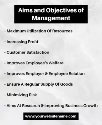 Professional Black and White Management Objectives Poster Template