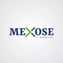 Professional Financial Management Showcased in Modern Logo Template