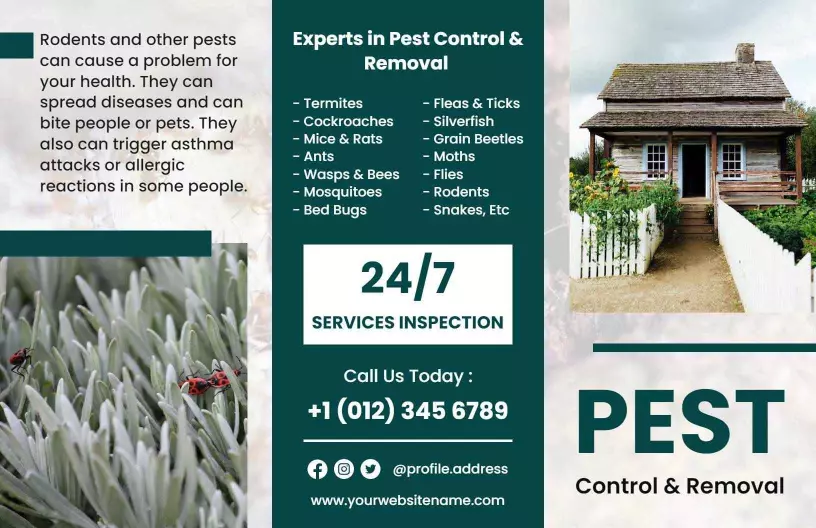Professional Pest Control Services and Inspection Brochure Template