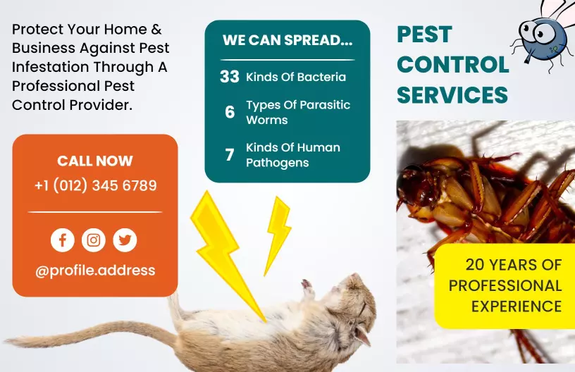 Professional Pest Control Services Infographic Brochure Template