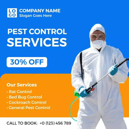 Professional Pest Control Services with 30% Off Promotion Ad Template