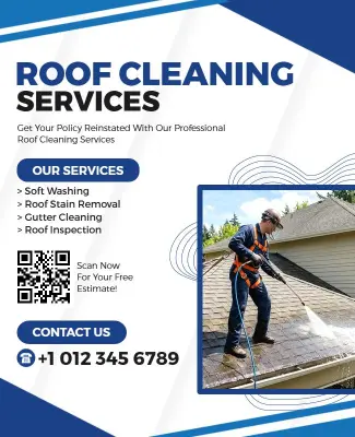 Professional Roof Cleaning Services Promotion Poster Template