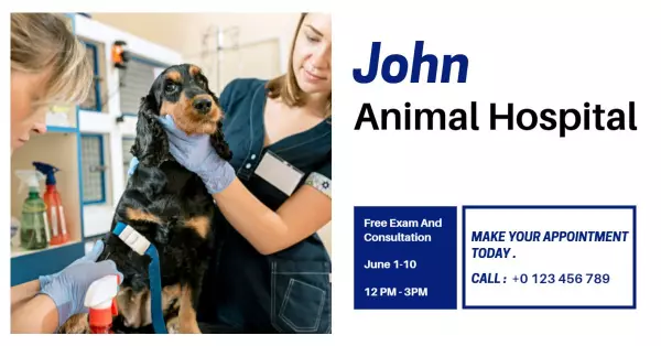 Professional Veterinary Care with Pet Consultations Facebook Ad Template