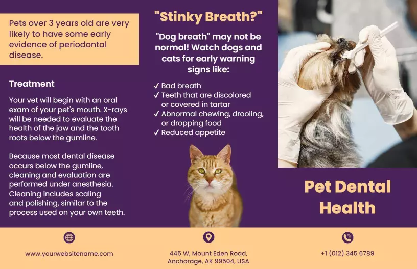 Purple Pet Dental Health Care Tips and Treatment Brochure Template