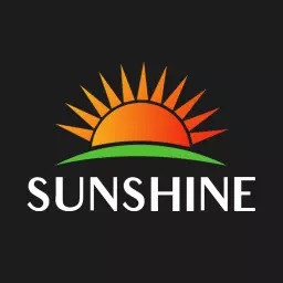 Radiant Orange Sunrise Symbolizing Positivity and Sunshine Logo Template