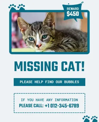 Sleek Teal Missing Cat Alert with Reward Information Poster Template